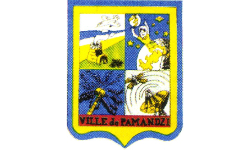 LOGO PAMANDZI