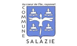 LOGO SALAZIE